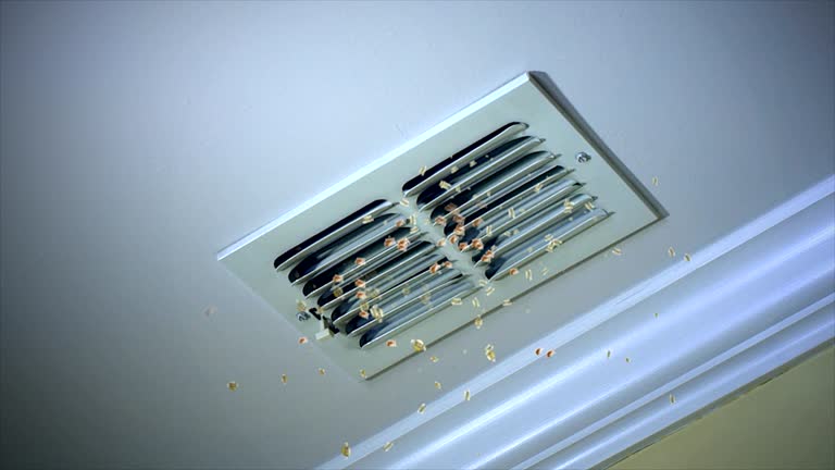 Best Residential Air Duct Cleaning  in Llano, TX