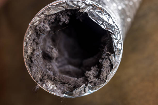 Best Affordable Duct Cleaning Services  in Llano, TX